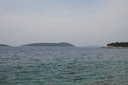 gal/cro 08/_thb_small-IMG_4622.JPG